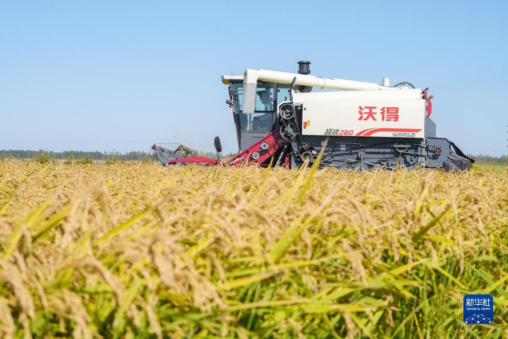 宝马娱乐线上